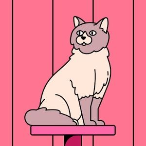 Meet your Posher, Linda